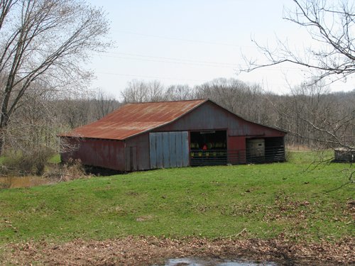 Property photo 24 - 137 Acres in 2 Tracts - 64 Tillable Acres, Potential Building Sites, Hunting